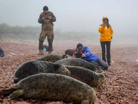 В Приморье двадцать лет спасают детенышей ларги